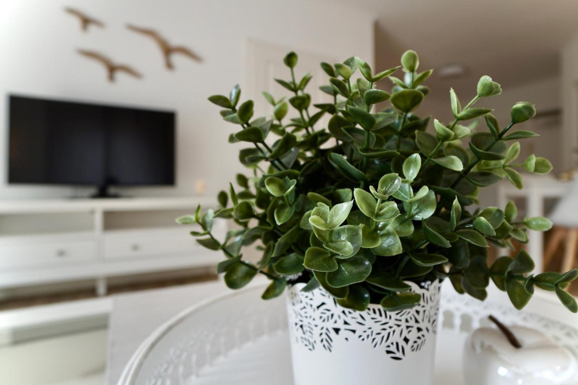 Sellin  Myhome Ruegen - Haus Sonnenmeer חדר תמונה